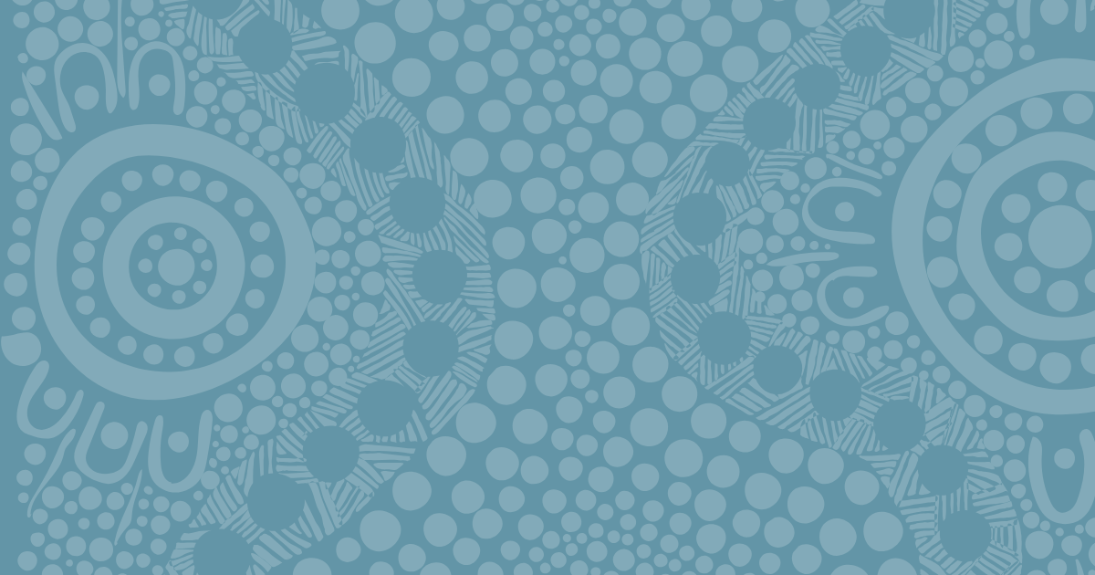Taking a NAIDOC approach to the Planning Challenge?