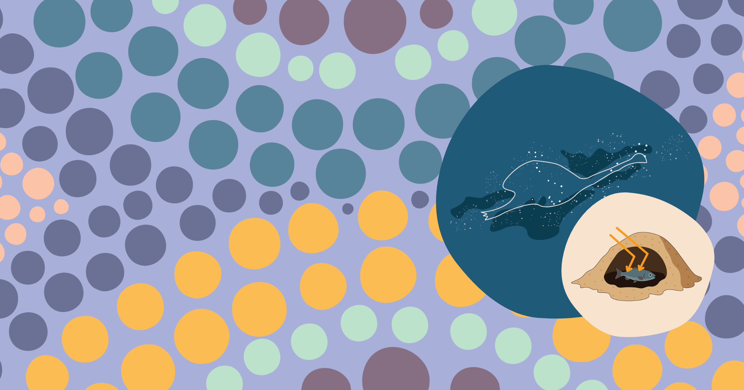 First Nations STEAM illustration featuring an emu in the sky and a solar-cooked fish in an earth oven, highlighting Aboriginal and Torres Strait Islander knowledge and sustainability.