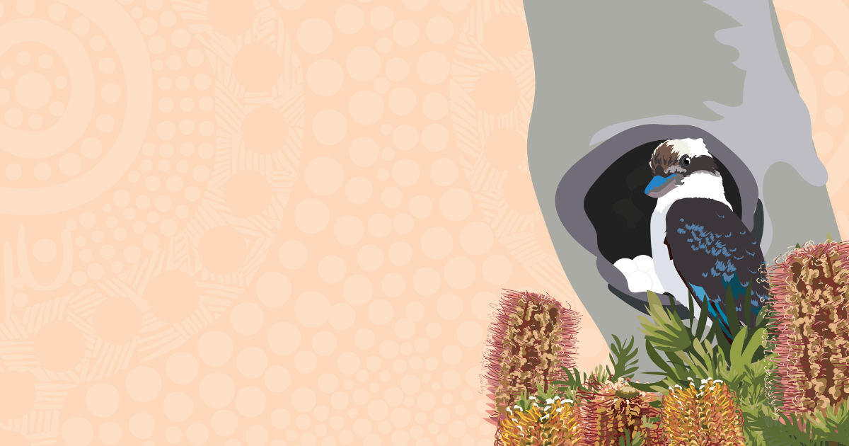 Banner for Wingaru Education’s blog Teach Dharug, a First Nations Language, in the Classroom with Mii Marri Gaban?