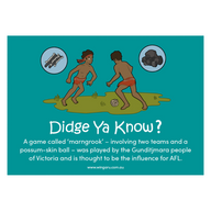 Didge Ya Know Poster Pack - Wingaru Store