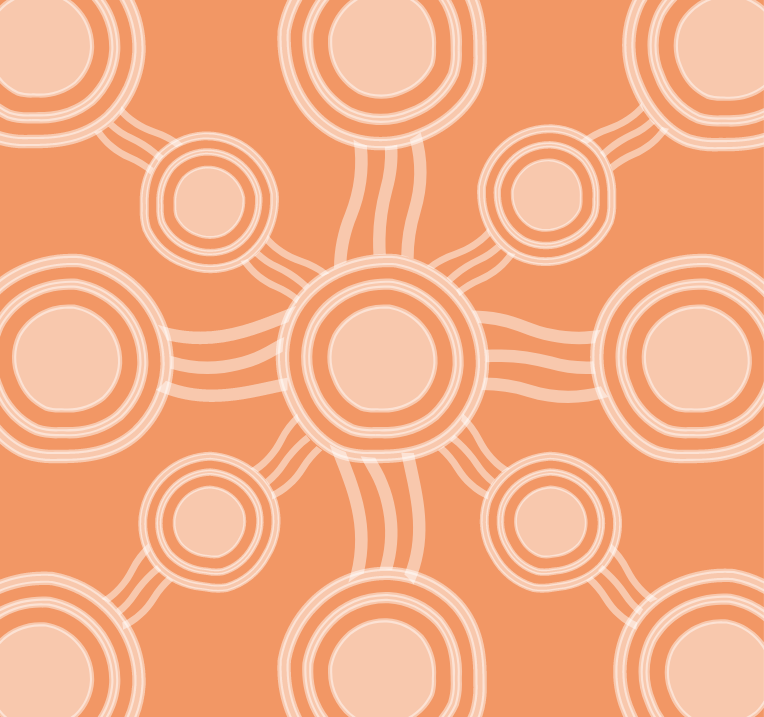 Increasing Aboriginal Perspectives in the Classroom