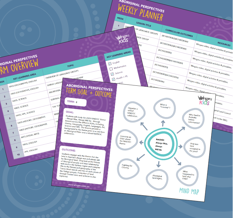 Taking a NAIDOC approach to the Planning Challenge?