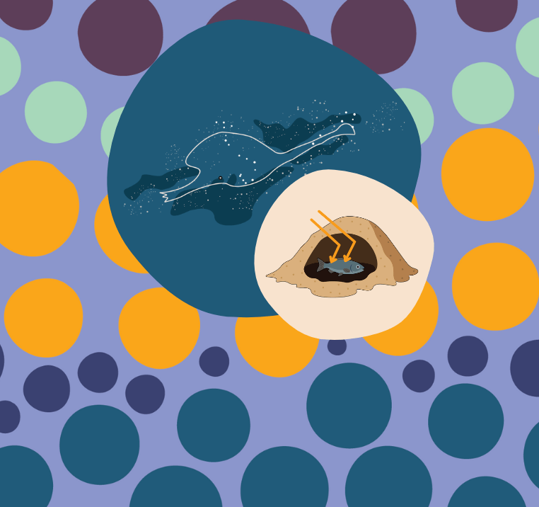 First Nations STEAM illustration featuring an emu in the sky and a solar-cooked fish in an earth oven, highlighting Aboriginal and Torres Strait Islander knowledge and sustainability.