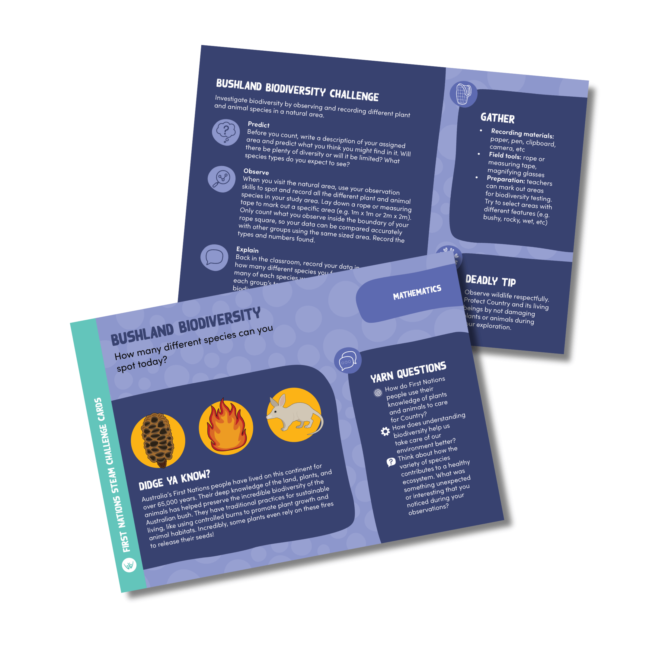 First Nations STEAM Challenge Card Set Bundle