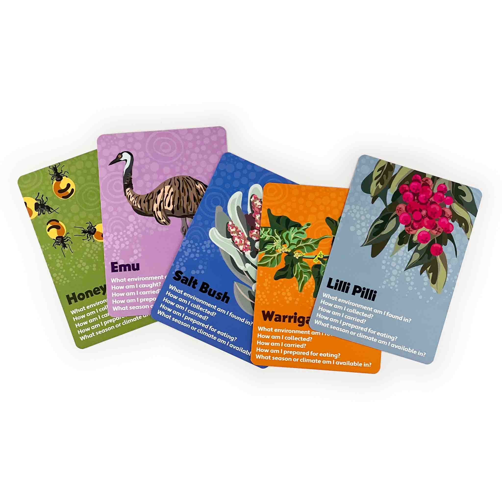 Bush Tucker Cards